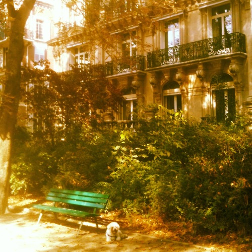 Oscar today in the Champ de Mars at the foot of the Eiffel Tower. 