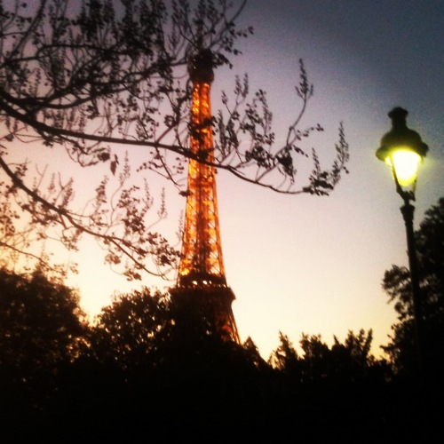 The Eiffel Tower early Friday evening at dusk while taking Oscar on a walk on the Champ de Mars.