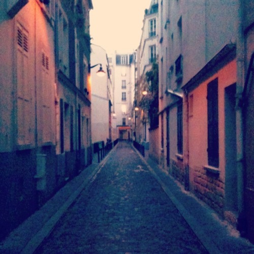 Passage Jean-Nicot, Paris, Christmas Eve, 2011. 