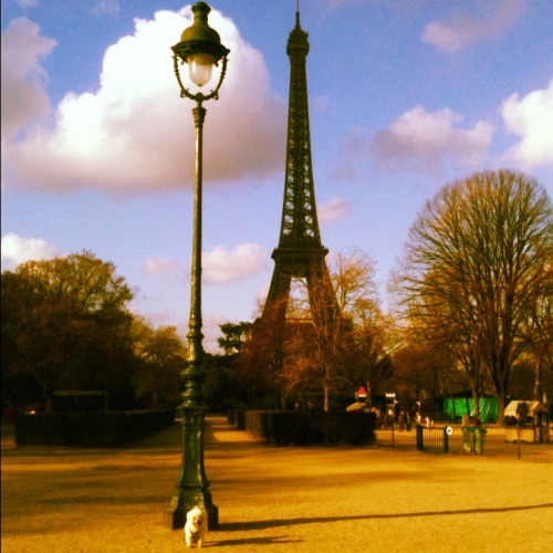 Oscar on the Champ de Mars yesterday, sunny and warm January day, standing in front of children’s playground. 